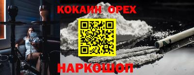 гидра Гай