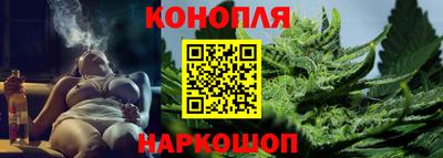 шишки Гагарин