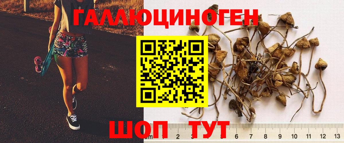 Галлюциногенные грибы Psilocybe  Псилоцибиновые грибы Psilocybine cubensis  Вход с VPN  Мытищи 
